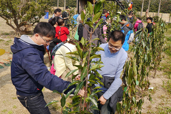 湖州植树活动