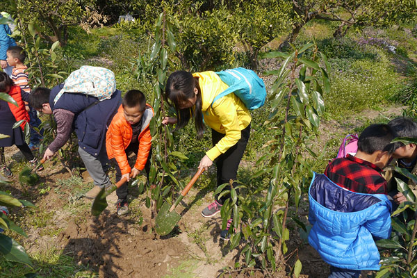 湖州植树活动