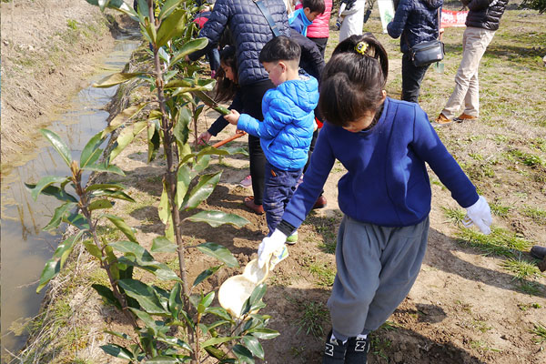 湖州植树活动